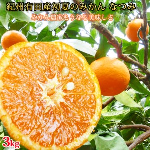 初夏のみかん　なつみ3kg　※2027年4月中旬頃～2027年4月末頃順次発送（お届け日指定不可） / 果物 くだもの フルーツ 柑橘 オレンジ みかん ミカン 有田みかん 【uot753B】