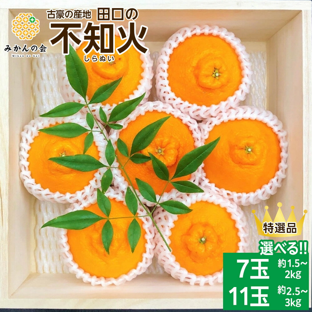 【ふるさと納税】【選べる】古豪の産地 田口の不知火 7玉 or 11玉 木箱入 特選品 産地直送 贈答用 数量限定 【みかんの会】 | みかん 不知火 甘い フルーツ ギフト 産地直送 和歌山 送料無料 果物 わかやま 本場 ふるさと納税 ふるさと 応援 寄付 先行予約 期間限定 返礼品