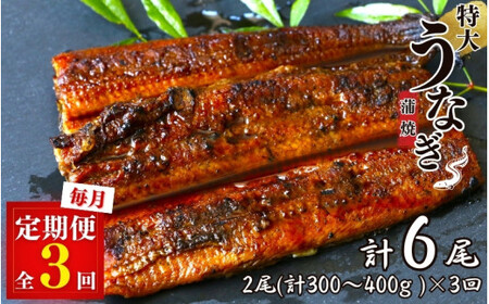 【3カ月定期便】特大うなぎ蒲焼き2本セット×3回 / 和歌山 田辺 うなぎ 鰻 かば焼き うな丼 うな重 国産 鰻丼【kpy024-tk】