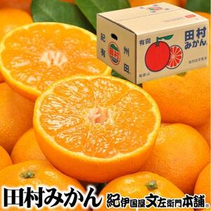 【日高町】田村みかん 秀品 約5kg【小玉サイズ】約70～80果/湯浅町田村地区産/産地直送【1341609】