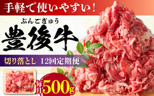 【全12回定期便】【使いやすい！】 おおいた豊後牛 牛肉 切り落とし 500g 日田市 / 株式会社MEAT PLUS　肉 牛肉 和牛 [AREI043]