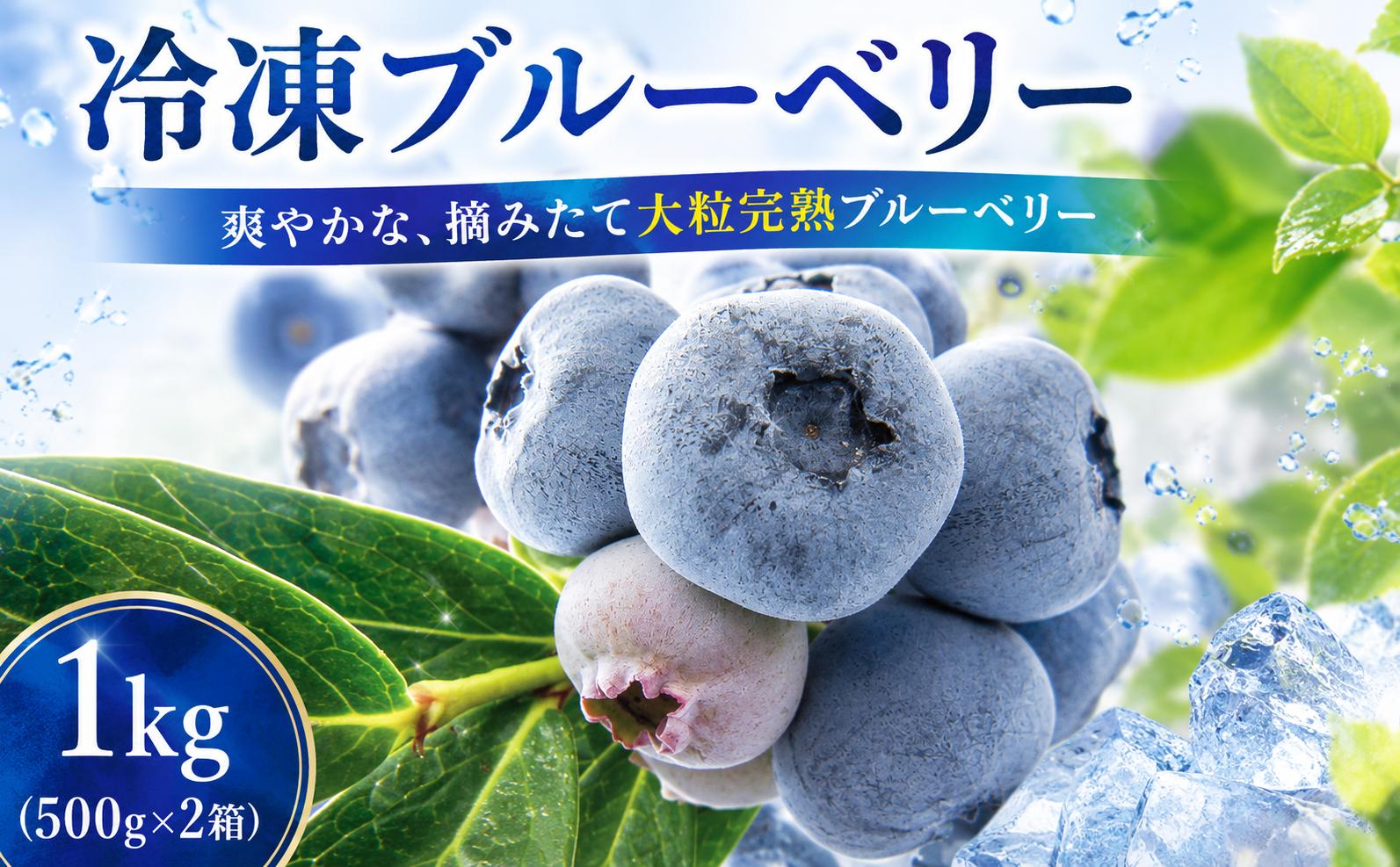 
                  【先行予約】 大粒 ブルーベリー 1kg(500g×2) 冷凍 詰め合わせ 8月以降発送 完熟 果汁 甘 酸味 人気 果物類 ブルーベリー フルーツ ベリー ヘルシー フレシュ 国産 産地直送 お取り寄せ 贈り物 ギフト 贈答 贈答用 贈り物 プレゼント お中元 夏 岩手県 盛岡市 東北 岩手 盛岡 北田りんご園 kitada001
                