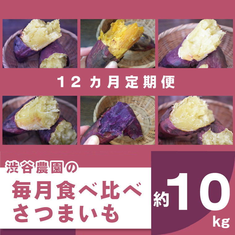 【ふるさと納税】【12ヶ月定期便】渋谷農園の毎月食べ比べさつまいも 約10kg｜さつまいも サツマイモ さつま芋 お芋 食べ比べ 定期便 毎月 紅はるか きみまろこ シルクスイート 栗かぐや 渋谷農園 さつまいも博 茨城県産 茨城県 行方市(BZ-22)