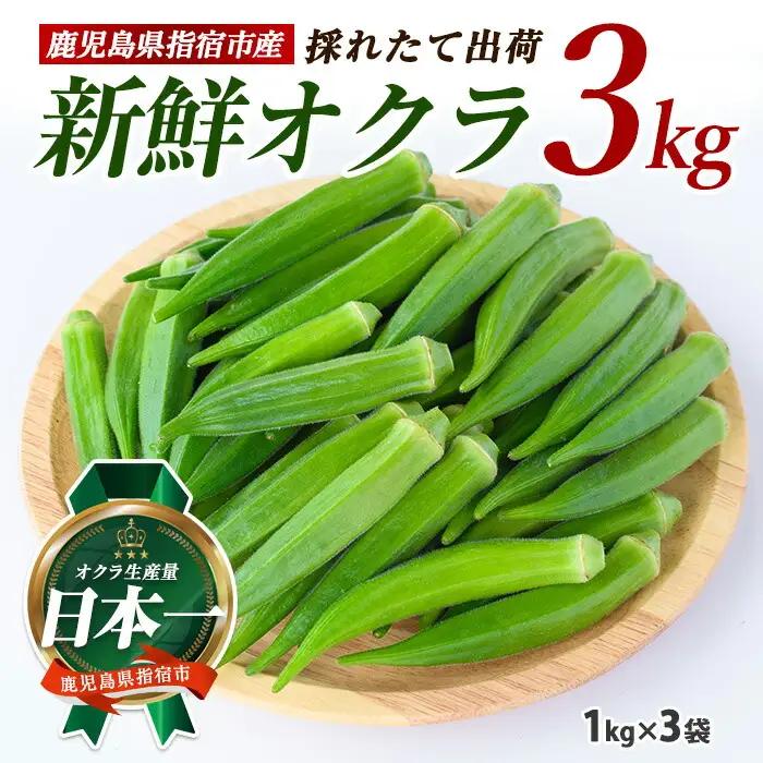 【2026年5月下旬～発送】新鮮オクラ1kg×3袋(アグリスタイル/IB066-005) 野菜 夏野菜 夏 旬 フレッシュ ベジタブル いぶすき 鹿児島