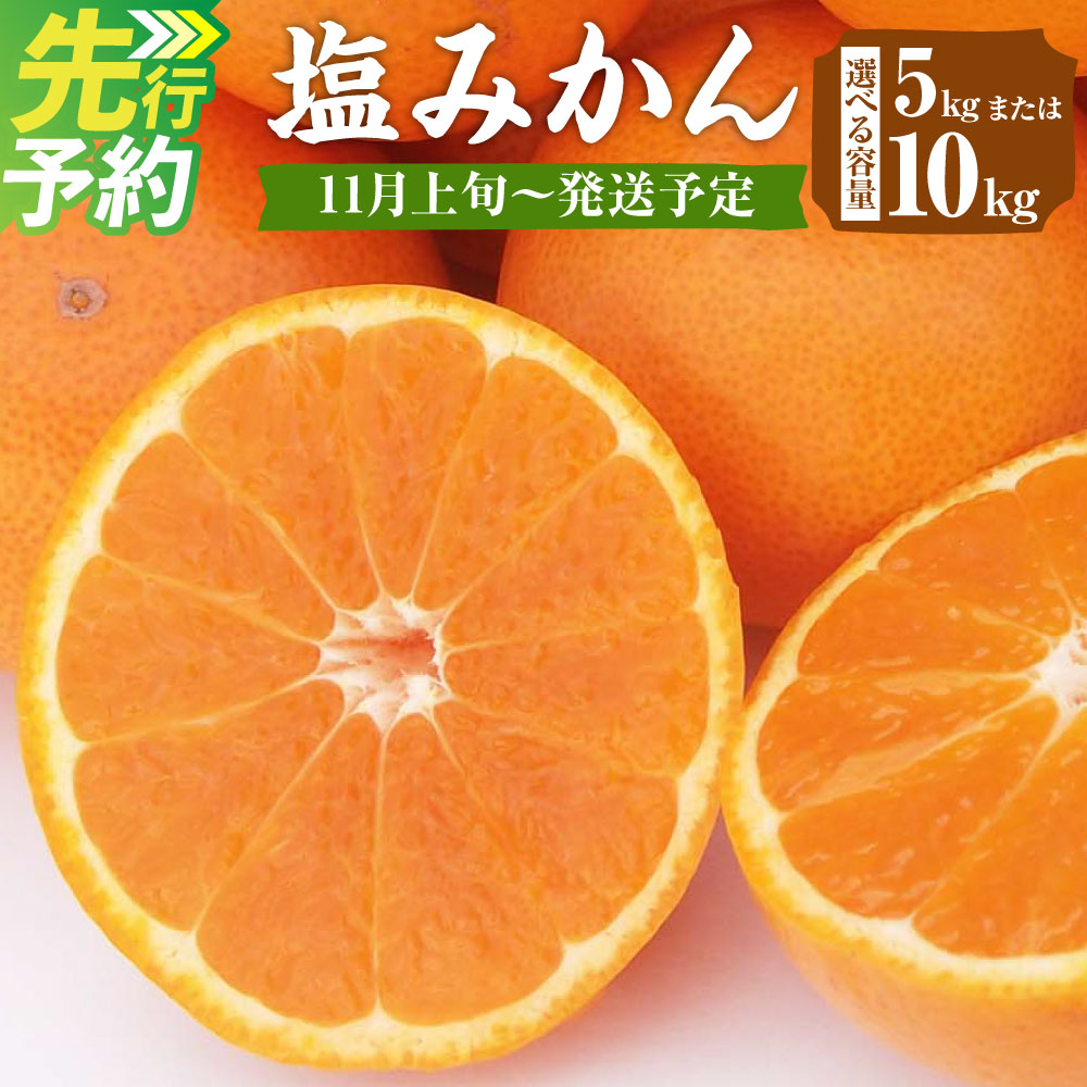 【ふるさと納税】塩みかん 5kg または 10kg 高糖度 濃厚 みかん ミカン 蜜柑 柑橘 フルーツ 果物 果実 国産 福岡県産 山川産 みやま市 九州 予約 送料無料 A157 A158 【2026年11月上旬～12月下旬発送予定】