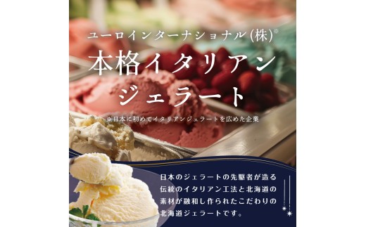 STELLA CIELO 北海道ジェラート4個 カラフル | 北海道ミルク チョコラータ 北海道赤肉メロン 北海道ハスカップ カラフル