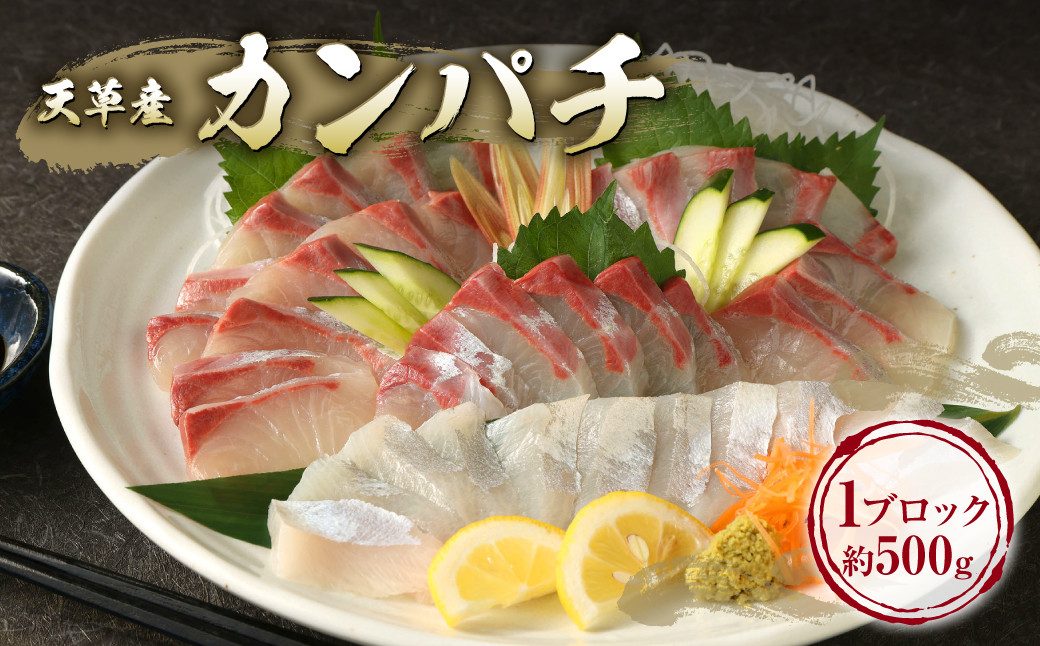 
【指定日必須】カンパチ ブロック 約500g 刺し身 柵1本 アラ 魚 鮮魚 かんぱち 刺身 お刺し身 冷蔵 お取り寄せ 熊本県 上天草市
