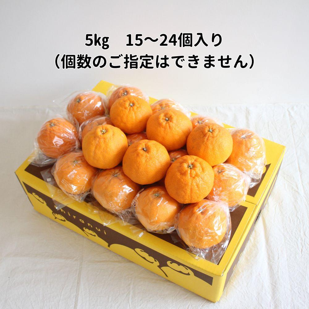 長期熟成しらぬい 約5kg 濃厚なコクと甘さ 農家直送 和歌山県産 【2026年5月発送】