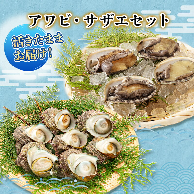 【ふるさと納税】活 アワビ サザエ 活きたままお届け セット 4月～9月中旬出荷予定 獲れたて 活アワビ 3～5枚 活サザエ 4～15個 あわび 鮑 さざえ 貝 魚介 魚介類 海鮮 海鮮セット 詰め合わせ 冷蔵 静岡 静岡県 　お届け：毎年4月～9月中旬出荷予定