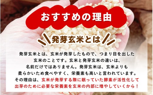 【令和7年産】発芽玄米 ミルキークイーン 2kg 甘みがありモチモチやわらか 農薬・化学肥料不使用 特別栽培米 【無洗米 米 玄米 ギャバ GABA 特別栽培 食物繊維 栄養 真空パック ごはん ご飯 おいしい ふるさと納税米】 [A-29105]