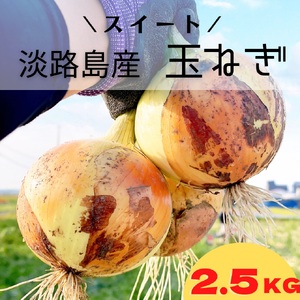淡路島スイートオニオン 淡路島産玉ねぎ　2.5kg