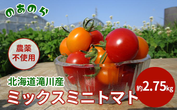 【栽培期間中 農薬不使用 】 北海道 滝川市 産 ミックス ミニトマト 約2.75kg トマト 野菜 やさい みにとまと