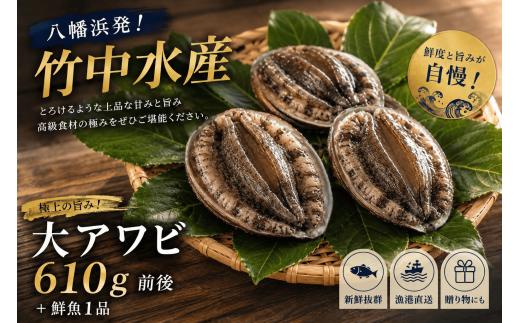 H22-203.竹中水産の八幡浜発！「天然アワビ：大サイズ・610g前後！」＋鮮魚１品