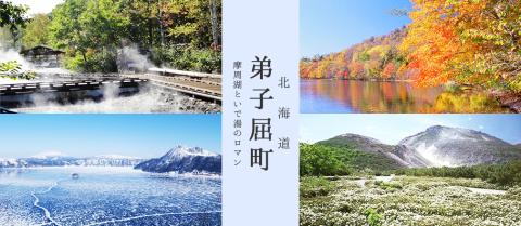 北海道弟子屈町ANAトラベラーズダイナミックパッケージクーポン（4,500点分）