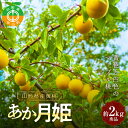 【ふるさと納税】 《2025年先行予約》山形県産 黄桃＜あか月姫＞ 約2kg 秀品 数量限定 【2025年8月発送開始】 ジューシー もも モモ 濃厚 フルーツ 果物 くだもの 季節限定 F4A-0381