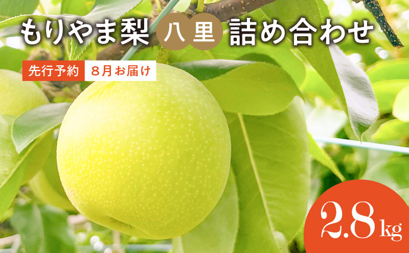 
            びわこもりやまフルーツランド もりやま梨 八里詰め合わせ【先行予約】
          