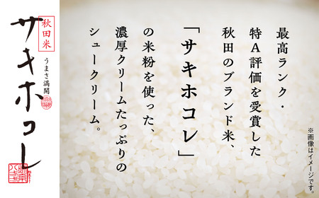 【サキホコレ米粉使用】かたがみシュー（プレーン／いちご）2種6個入【サインマーケット】