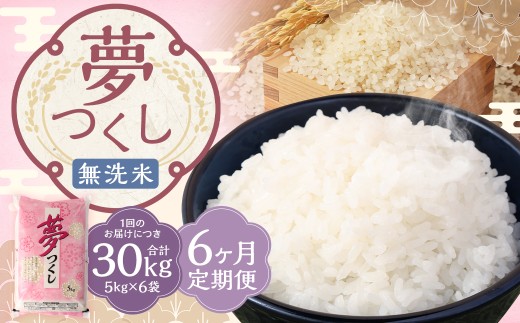 【6ヶ月定期便】 無洗米 食味鑑定士厳選 夢つくし 30kg（5kg×6袋）×6回 計180kg 米 こめ コメ お米 精米 単一原料米 ごはん ご飯 ライス おにぎり