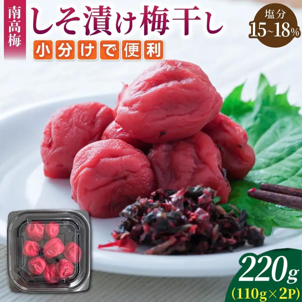 梅干し 小分け 南高梅 無添加 しそ漬け梅干し 110g×2【frsn0019B】