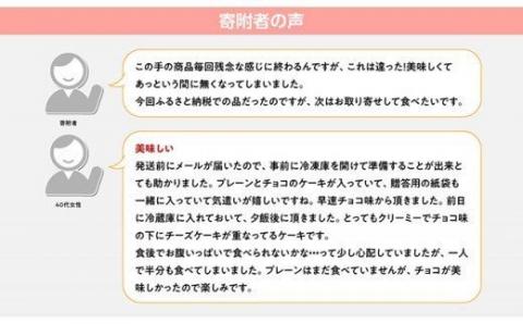 【定期便】とろける生チーズケーキ（プレーン・チョコ）+メロンパン ３ヶ月定期便【スイーツ ケーキ チーズケーキ チョコ 洋菓子 おまけつき 全3回】[G2701]