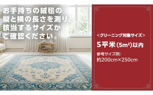 【シルク段通・ペルシャ絨毯】宅配 絨毯 クリーニング チケット │ プラチナトータルケアコース（5平米以内）約200cm×250cm 宅配 クリーニング 洗濯 洗浄 清潔 じゅうたん ラグ カーペット