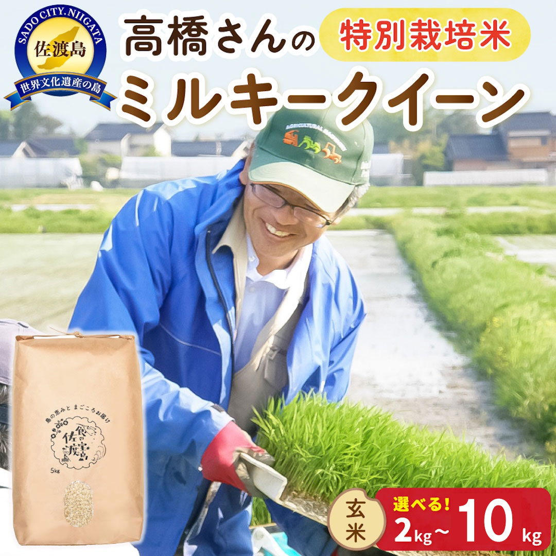 【ふるさと納税】玄米 ミルキークイーン 新潟 2kg 4kg 5kg 10kg 選べる容量 令和8年産 特別栽培米 高橋農園 佐渡島産 もちもち 産地直送 新潟県産 米 こめ コメ ブランド米 げんまい 2キロ 4キロ 5キロ 10キロ おすすめ お取り寄せ ごはん おにぎり お弁当 新潟県 佐渡市