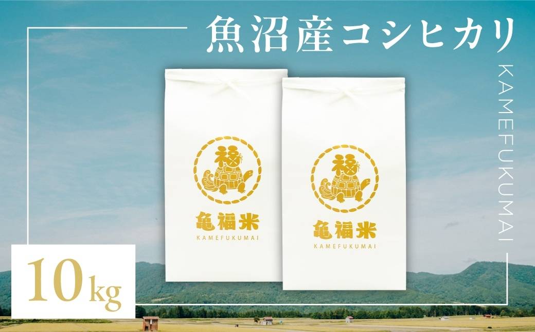 令和7年産 極上 魚沼産コシヒカリ「亀福米」10kg (5kg×2袋) (特別栽培米) | お米 おこめ 白米 精米 おすすめ 人気 新潟県 津南町 株式会社亀福