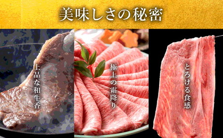 極上松阪牛定期便 贅沢コース【定期便9か月】( ヒレ シャトーブリアン サーロイン 赤身 すき焼き しゃぶしゃぶ ステーキ ハンバーグ ） 【30-24】30-24