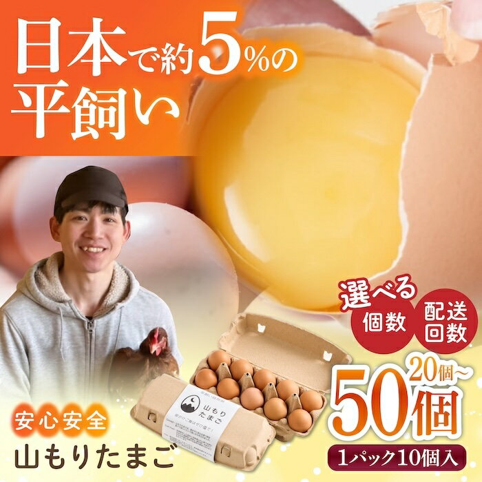 【ふるさと納税】＜選べる個数と回数＞ 平飼い 山もりたまご 20~50個 家族に食べさせたい 安心安全 おいしさに感動 たまご 卵 高級卵 平飼い 安心安全 飼料にこだわり 成長剤不使用 ホルモン剤不使用 添加物不使用 定期便 毎月 月2回 送料無料 福岡県 うきは市