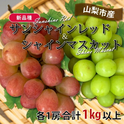 【ふるさと納税】【2025年先行予約】山梨市産サンシャインレッドとシャインマスカットの特別セット(合計1kg以上)【配送不可地域：離島】【1464815】