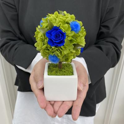 ふるさと納税 春日部市 プリザーブドフラワーアレンジ【プティシュシュ/ブルー】春日部市 シュガーパイン |  | 02