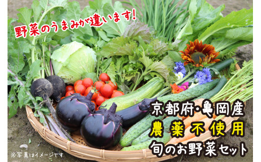 
【12回定期便】京都府・亀岡産 自然農法＆農薬を使わずに育てた体も心も喜ぶ、かたもとオーガニックファームの季節のお野菜セット 毎回10～20品目　※離島への発送不可
