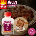 【ふるさと納税】＼最短翌日～5営業日以内発送／ 梅じお ガーリック 90g × 7本 セット 焼き肉専門店 牛タン おにぎり パスタ 焼肉 BBQ アレンジ 爽やか パンチ すっきり つけ塩 調味料 食品 いちよしエンタープライズ(株) 泉佐野市 送料無料