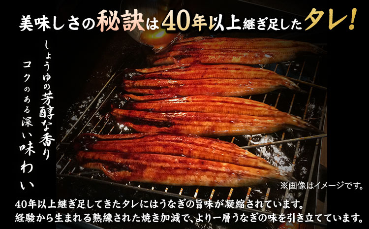 大型サイズ ふっくら柔らか 国産 うなぎ 蒲焼き 2尾 化粧箱入 株式会社魚鶴商店《30日以内に出荷予定(土日祝除く)》 和歌山県 日高町 うなぎ 鰻 蒲焼き 国産使用 ごはんのお供 おつまみ にも最