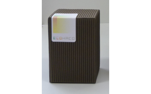 N301　ＥＣＯＨＡＣＯペンホルダーセット
