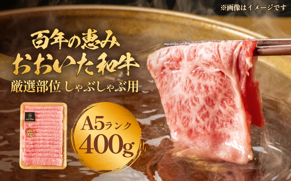 「百年の恵み おおいた和牛」A5しゃぶしゃぶ 400g おおいた
