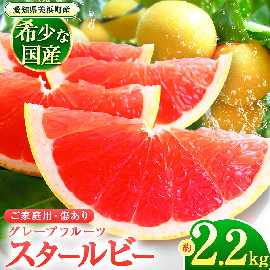 【ふるさと納税】【2027年先行予約】美浜町産グレープフルーツ（スタールビー）ご家庭用　6-8玉（約2.2kg） ※2027年5月上旬～7月下旬頃に順次発送予定 | グレープフルーツ 国産グレープフルーツ スタールビー ルビー 国産 柑橘 果物 フルーツ 家庭用 産地直送 愛知県 美浜町