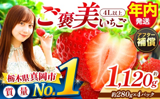 いちご【先行予約】【年内発送】とちあいか いちご 4Lサイズ以上 一粒の贅沢！ 取り寄せ ご褒美とちあいか 約280g×4パック合計約1120g【栃木県 真岡市産】いちご 果物 イチゴ 苺 旬 産地直送 国産
