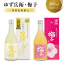 柚子酒 梅酒 果実酒 低アルコール ほろよい　リキュール500ml 2本セット　飲み比べ 日本酒 飛騨 舩坂酒造 プレゼントゆず兵衛 梅子 a