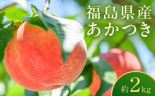 ＜先行予約＞福島県産 甘くてジューシー 桃 あかつき 2kg （7玉～10玉） もも フルーツ 果物 F6Q-352