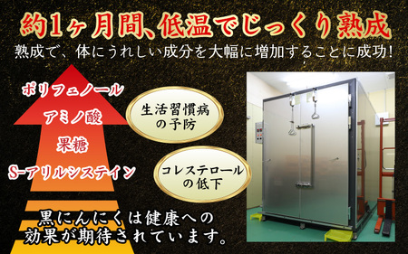 定期便 ≪3ヶ月連続お届け≫ 止まらなくなるほど美味しい！波動熟成 黒にんにく『玄』500g × 3回 計1.5kg [C-15301]