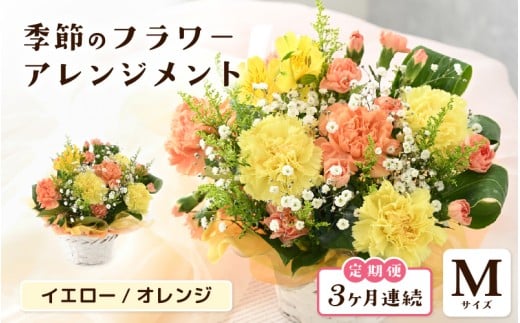 定期便 ≪3ヶ月連続お届け≫ 選べるカラー 季節のフラワーアレンジメント M (イエロー・オレンジ) 【お花 フラワー アレジメント 花束 ギフト 生花 プレゼント 花束 花 記念日 敬老の日 お祝い】 [C-20701_02] 