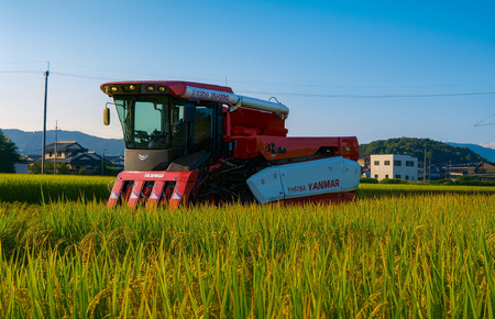 【令和7年産新米予約】ヒノヒカリ 5kg 玄米 ヒノヒカリ