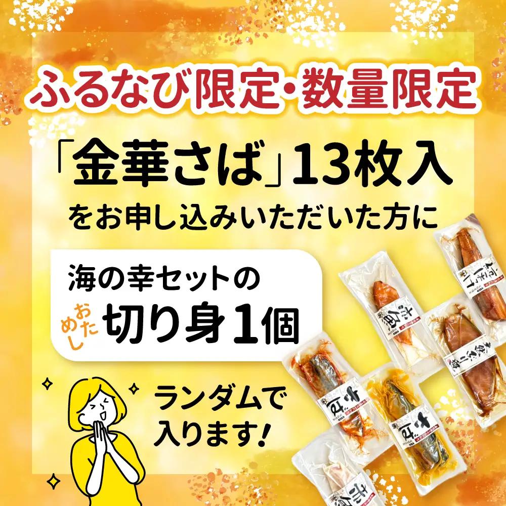 さば 金華サバ 半身13枚 無塩 鯖