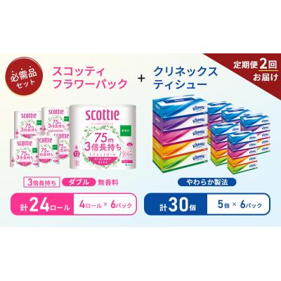 ふるさと納税 岩沼市 【6ヶ月ごと計2回お届け】ティッシュ+トイレットペーパー無香料6P[No.5704-1787] |  | 01