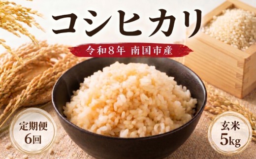 【6回定期便】令和8年度 南国市産 コシヒカリ 玄米 5㎏ | 先行予約 新米 数量限定 米 コメ お米 ご飯 おにぎり こめ 弁当 高知県 南国市