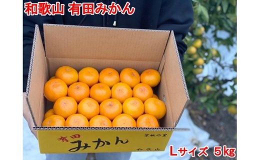 ［秀品・サイズＬ］まる隆果樹園　和歌山有田産！早生みかん≪5ｋｇ≫［予約販売］［数量限定］ 	CS005
