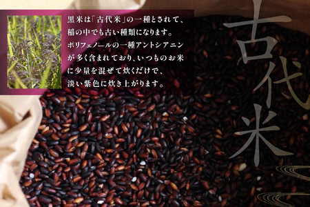 黒米 令和7年 200g 2袋 計400g 石川県産 無農薬