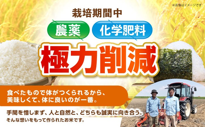 さがびより ( 白米 ) 4kg【北原農園】[HCA004]