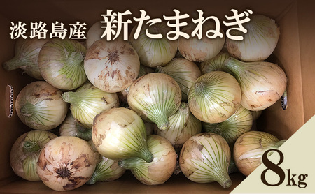 淡路島産 新たまねぎ8kg 新玉ねぎ タマネギ 甘い 兵庫県 洲本市 淡路島
